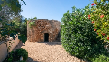 Resa Estates finca sale koop ibiza Jorge exterior garden.jpg